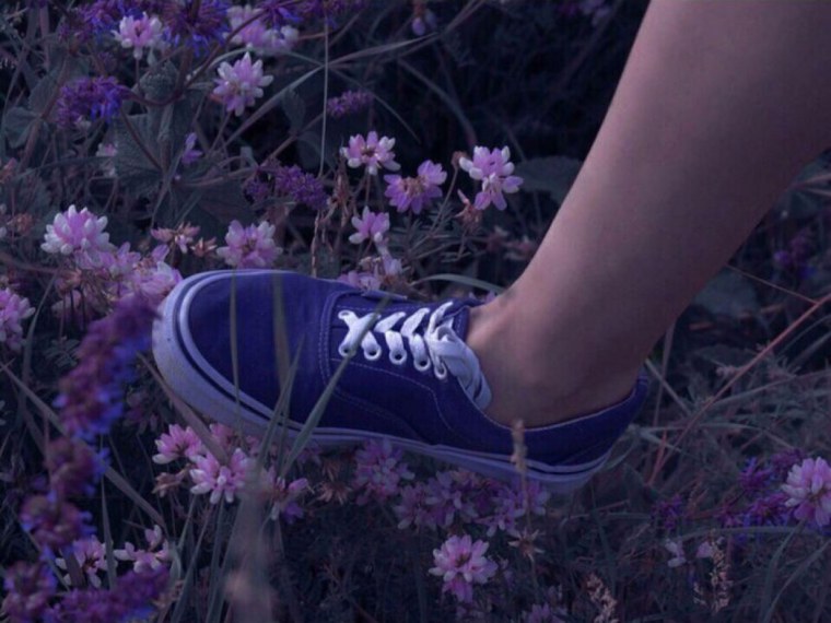 Сохры с надписями