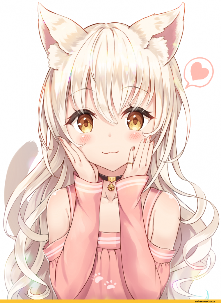 Аниме котики девушки няшки