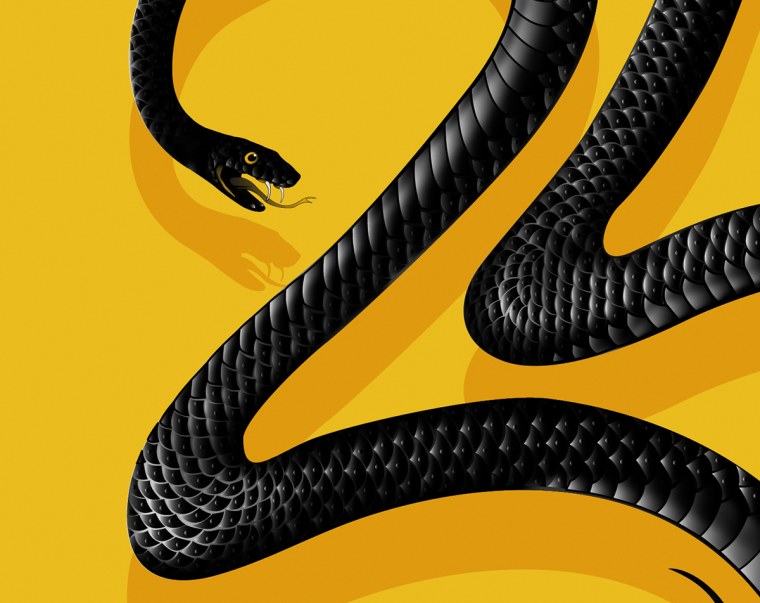 Черная змея Эстетика