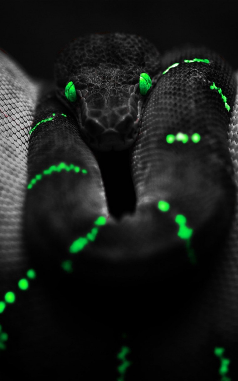 Razer Snake Snake Plushie