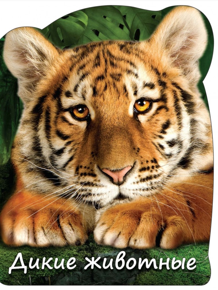 Книга Дикие животные
