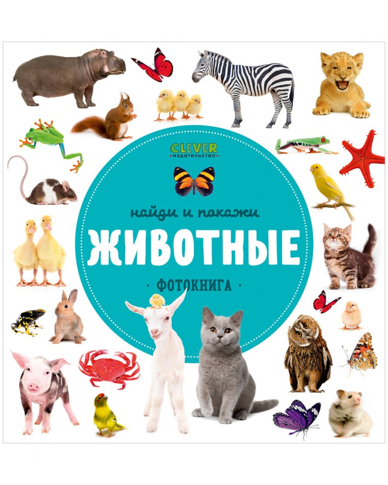 Фотокнига Клевер животные Найди и покажи