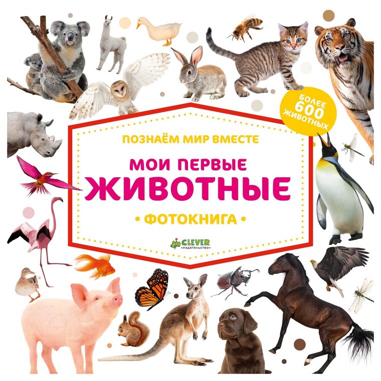 Животные. Моя первая книжка