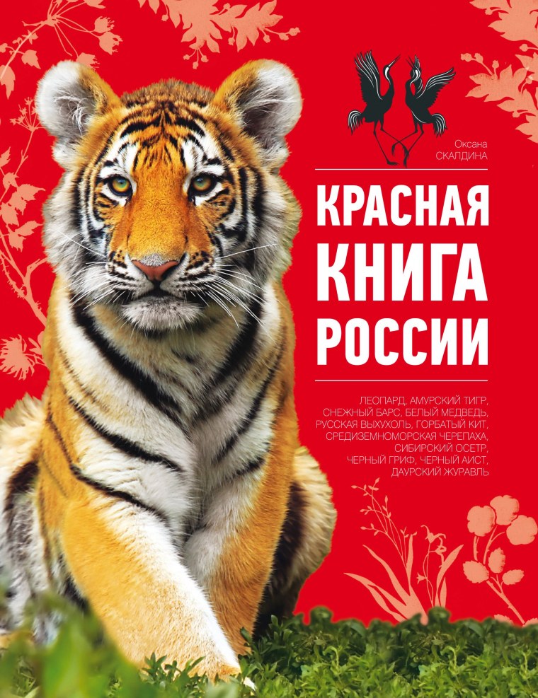 Красная книга России Скалдина