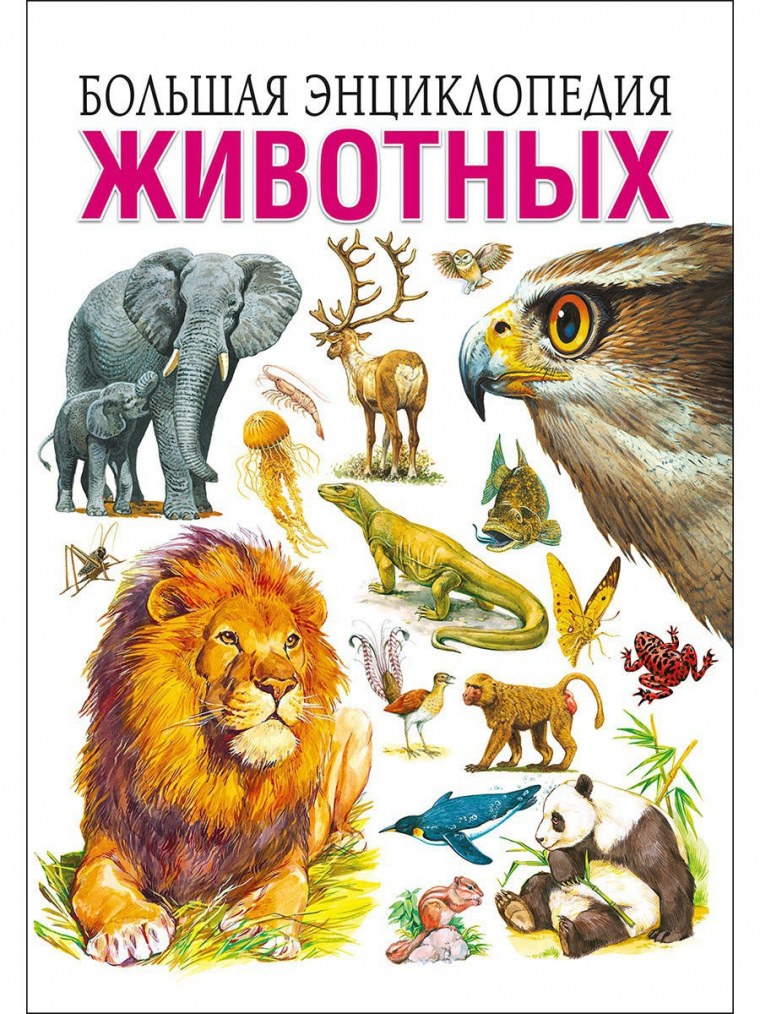 Большая энциклопедия животных Скиба