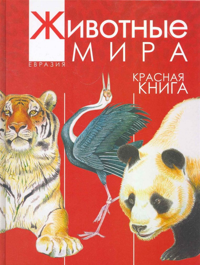 Обложка книги о домашних животных