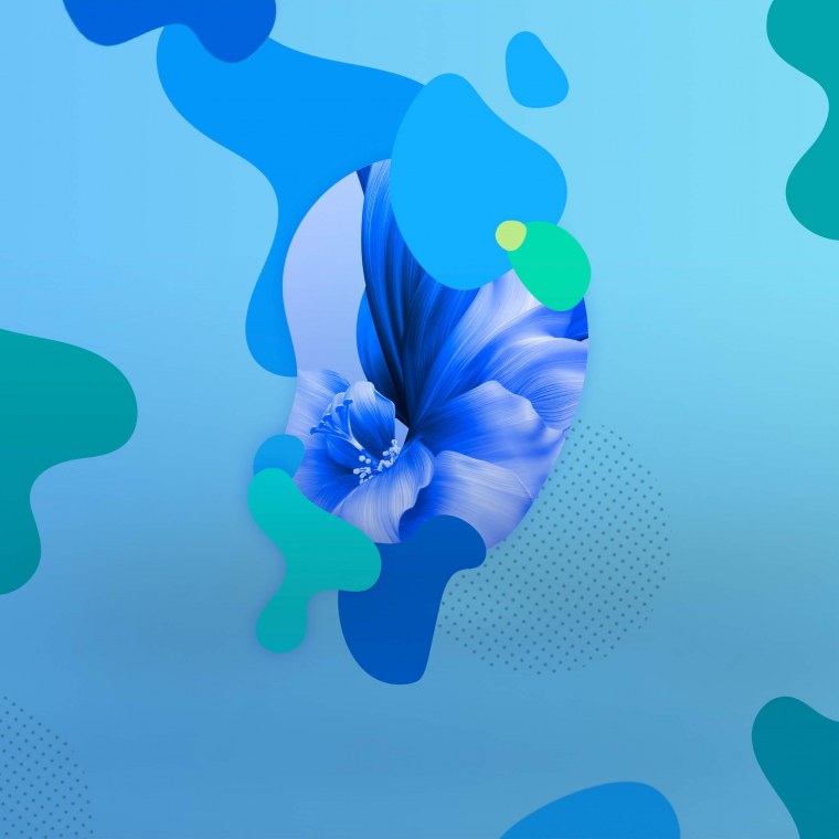 Обои Huawei Nova