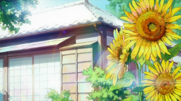 Подсолнухи обои