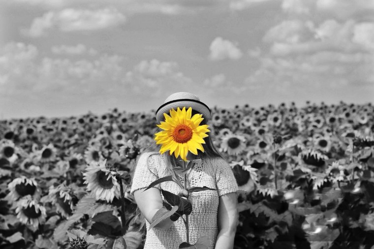 Смешной подсолнух