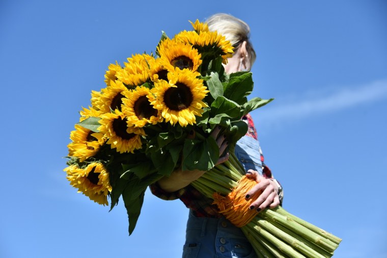 Токийский гуль Канеки