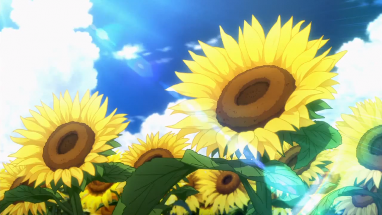 Красивые аниме обои с подсолнухами