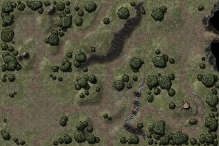 DND Battle Map Forest