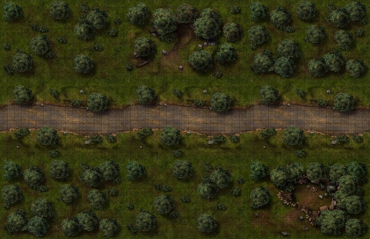 ДНД карта лес