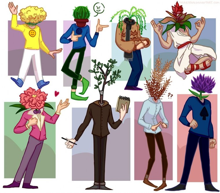 13 Карт Феликс и Чарли