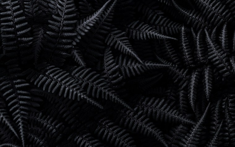 Черный фон на рабочий стол