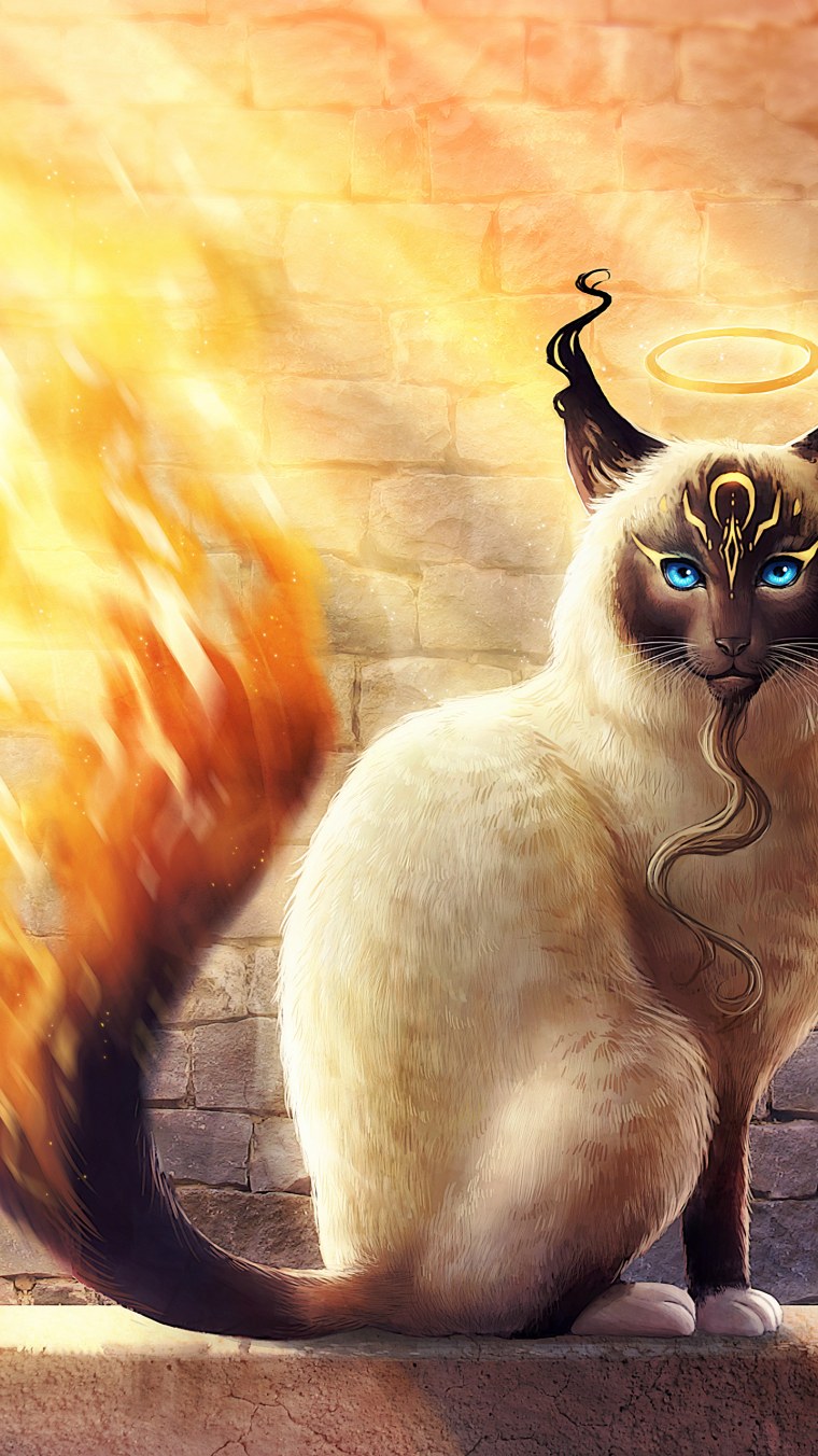 Мистические кошки