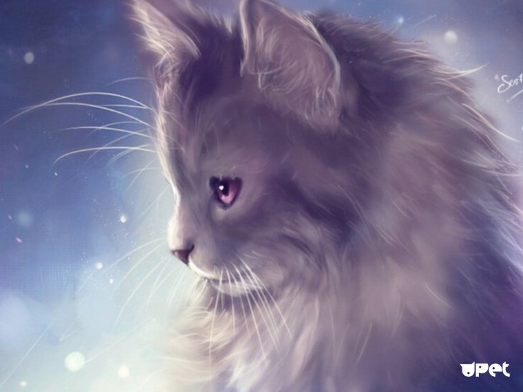 Кошка с фиолетовыми глазами