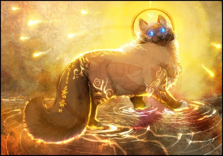 Волшебный кот