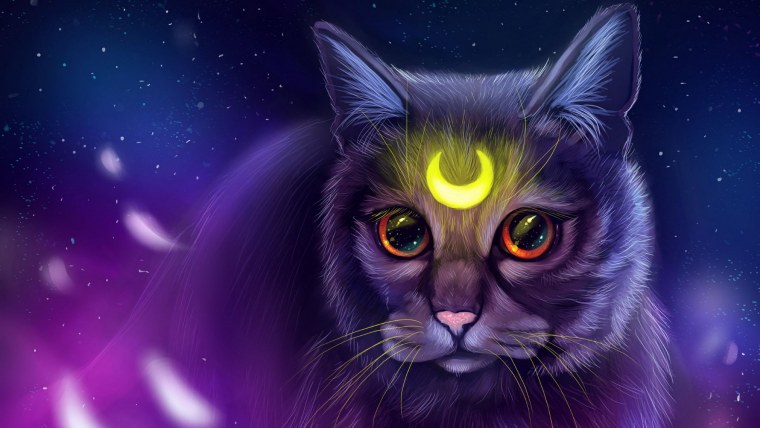 Волшебные кошки