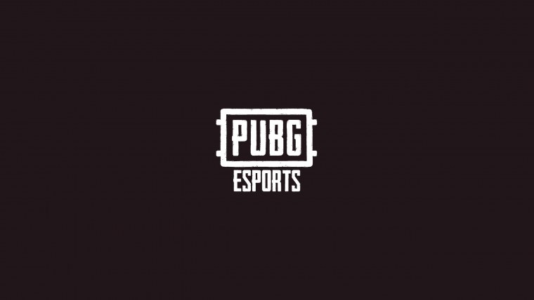 PUBG PGC 2020