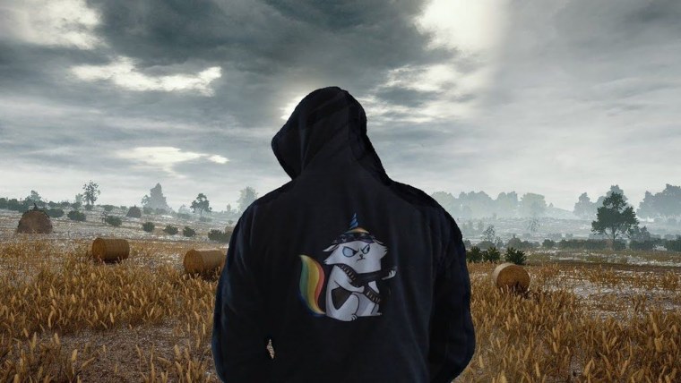 Фото для аватарки в ПАБГ