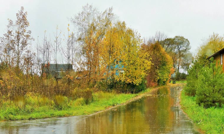 Перед грозой в деревне