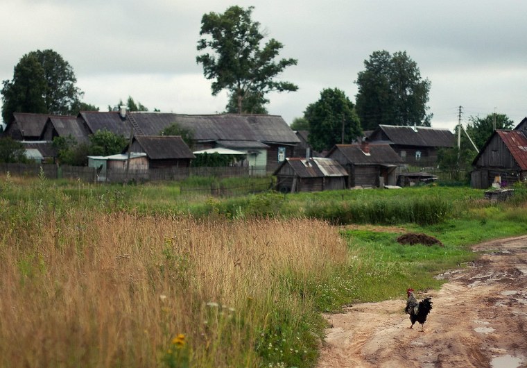 Деревня Сельцо Костромская область