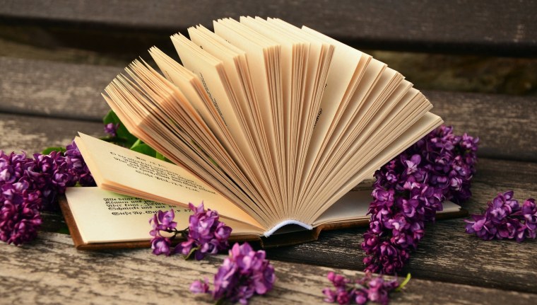 Фиолетовые цветы и книги