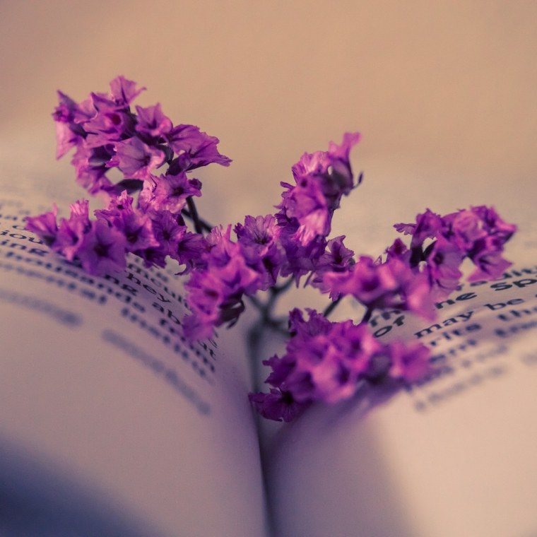 Эстетика в сиреневых тонах