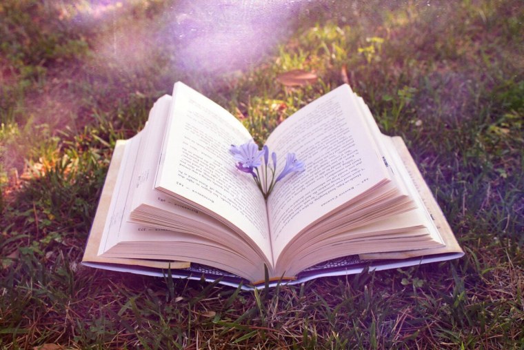 Красивые книги