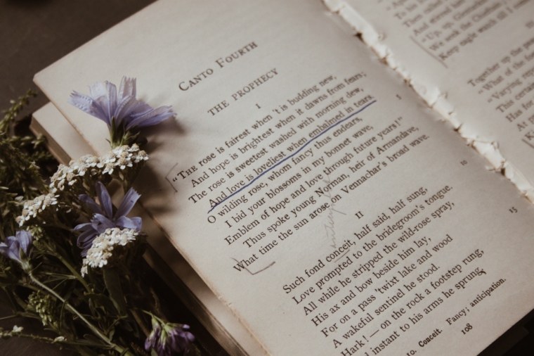 Фиолетовые книги Эстетика