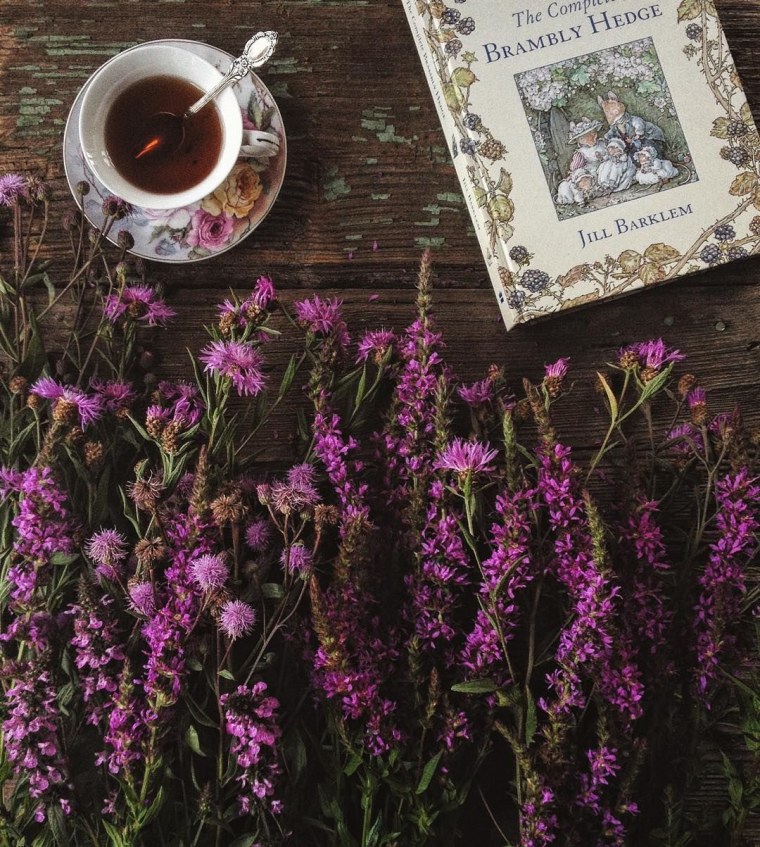 Травяной чай Эстетика