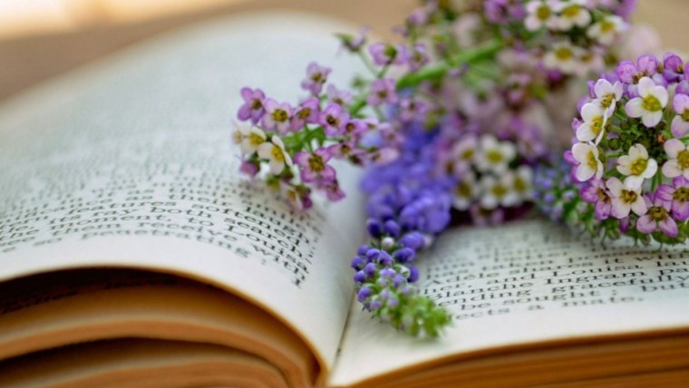 Раскрытая книга цветы