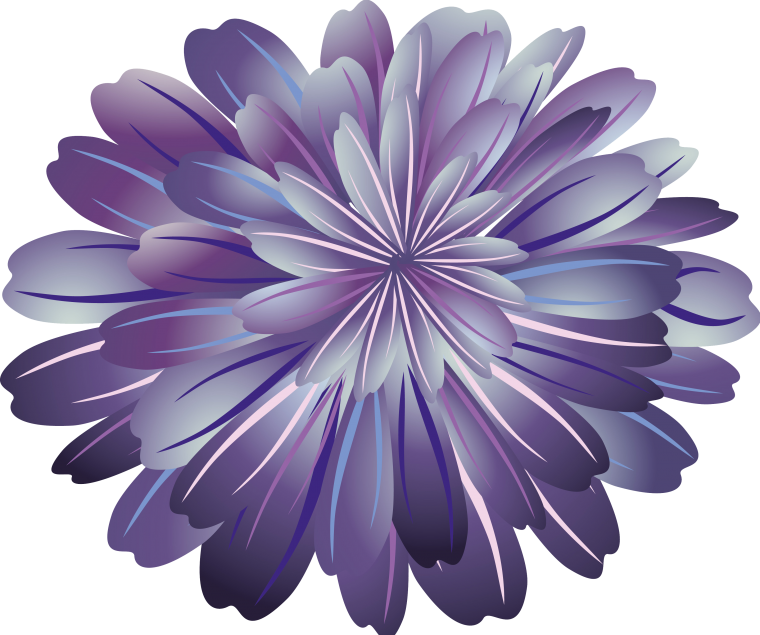 Цветок Астра вектор