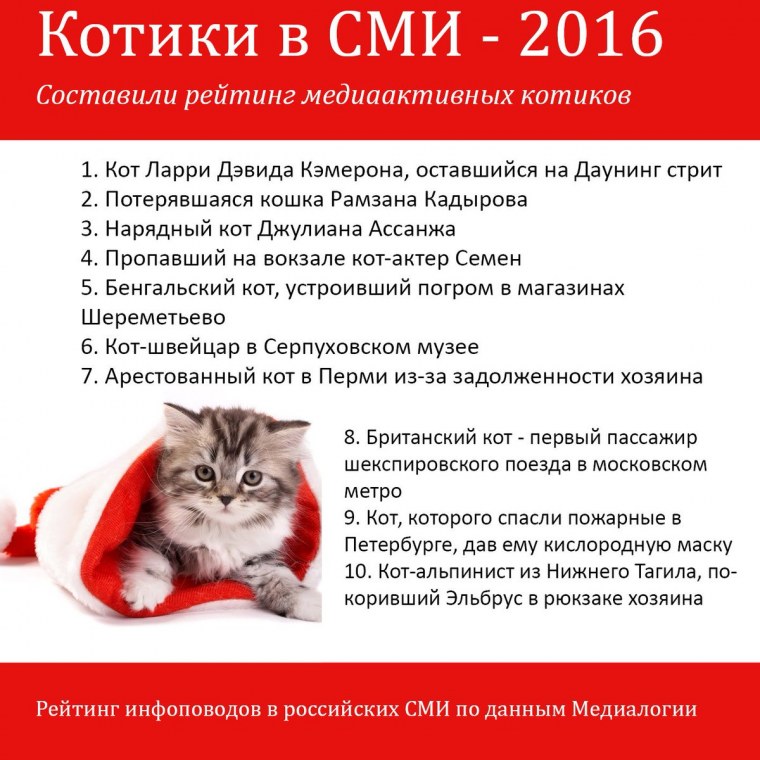 Имена для кошек