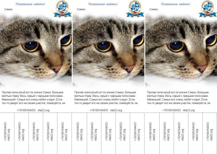 Список имен для кошек