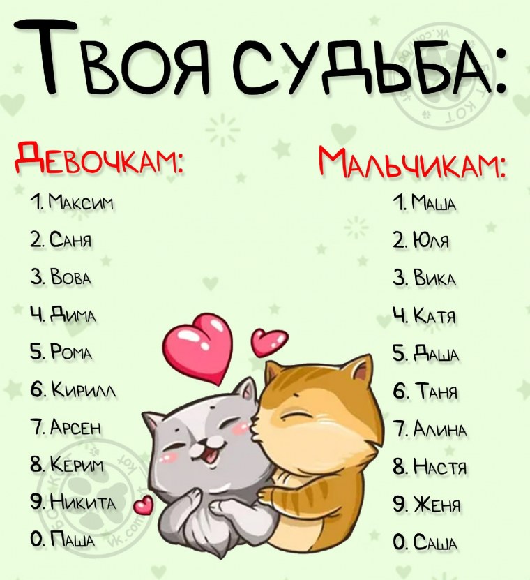 Имя для кота