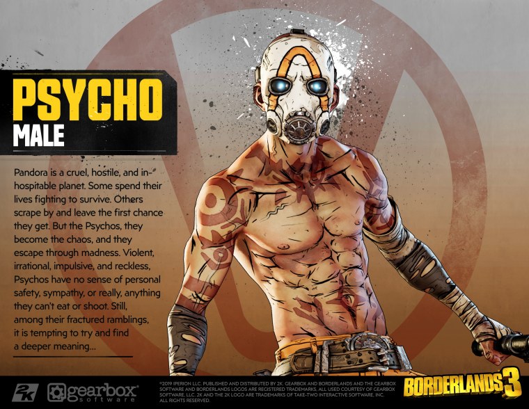 Псих бордерлендс 3