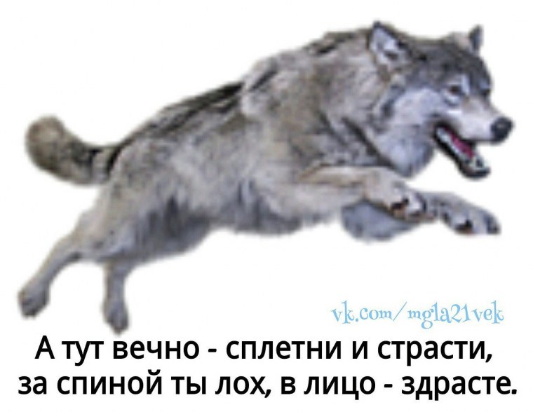 Бегущая с волками