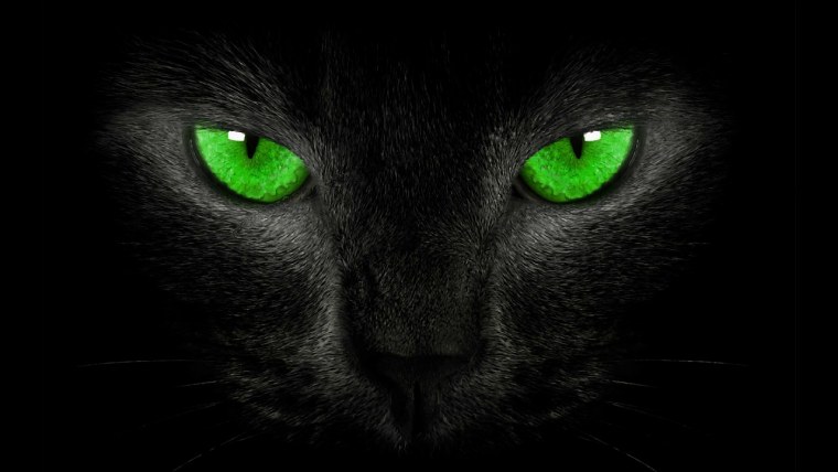 Чёрный кот с зелёными глазами