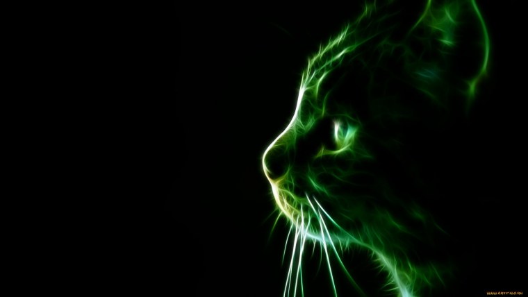 Черный кот на черном фоне