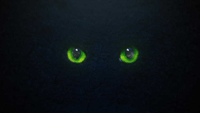 Черная кошка на зеленом фоне