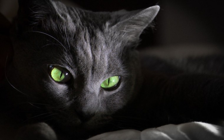 Кошачий глаз зеленый