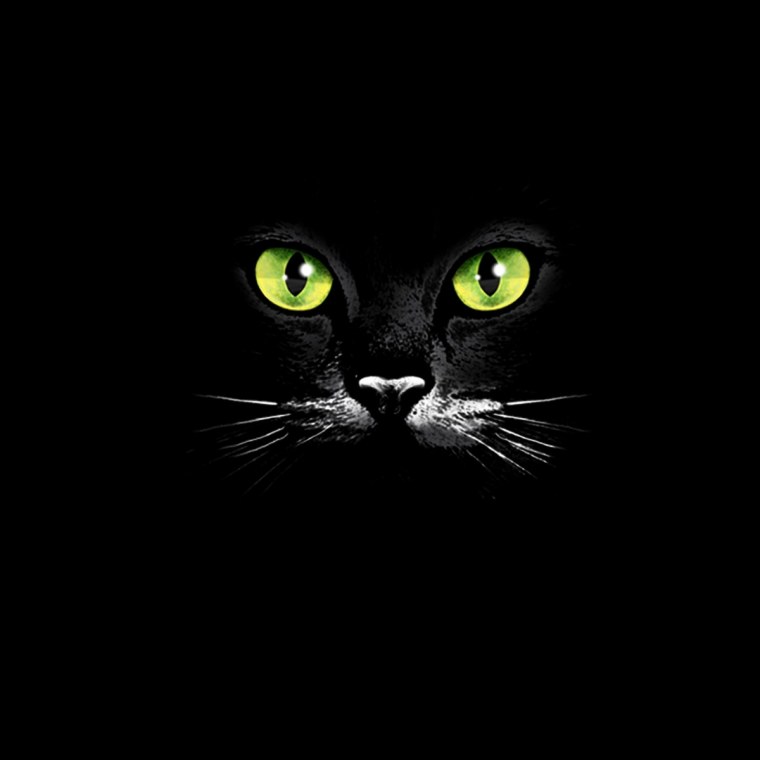 Чёрный кот арт