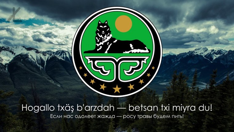 Оскал волка на темном фоне