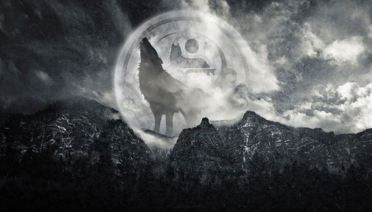 Чеченский волк