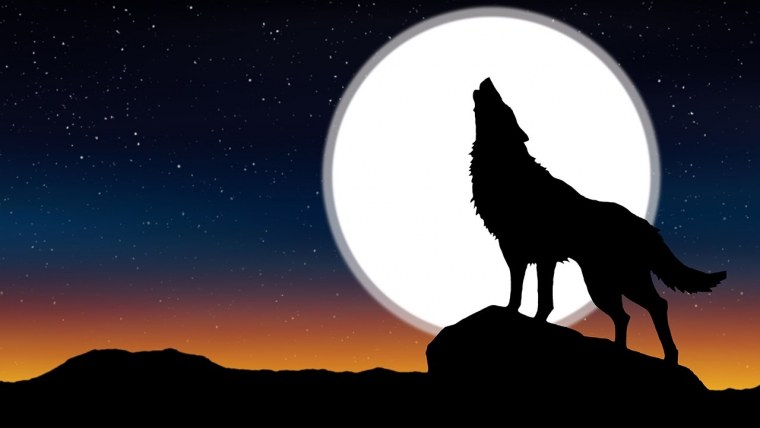 Неоновый волк