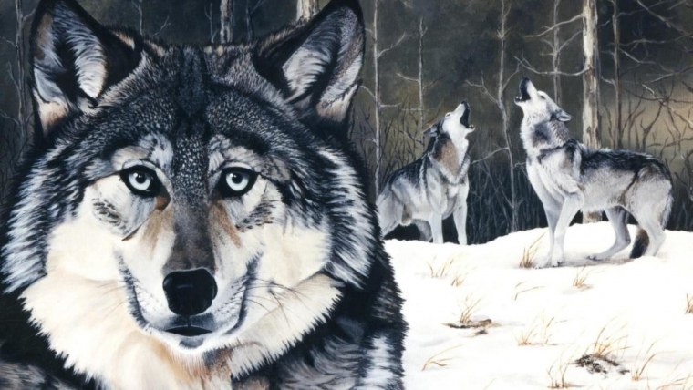 Флаг Чечни с волком