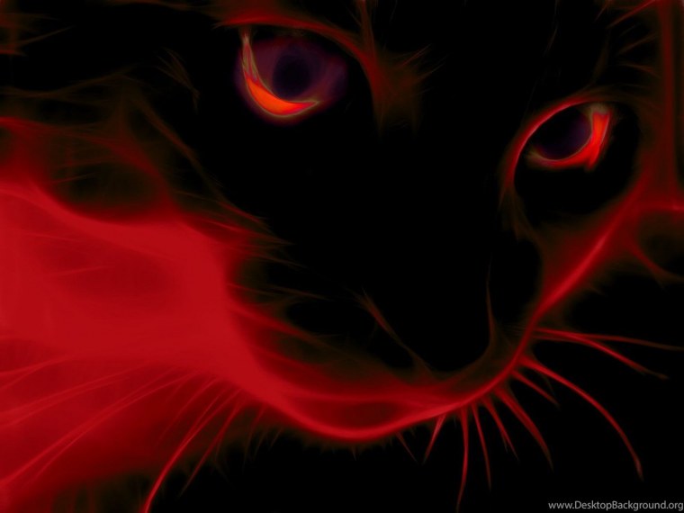 Красный кот