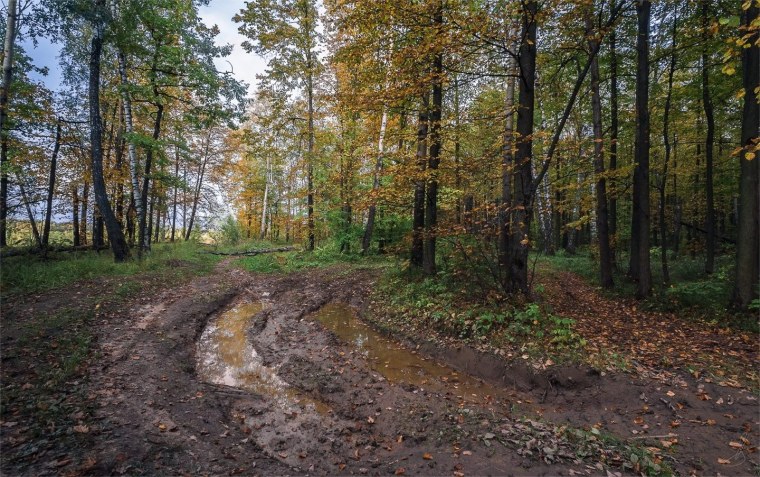 Пейзаж без обработки